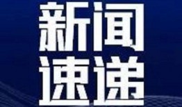 新闻新闻爆料,揭秘新闻背后惊人真相